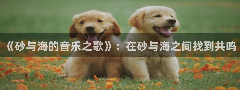 羞羞漫画,免费观看